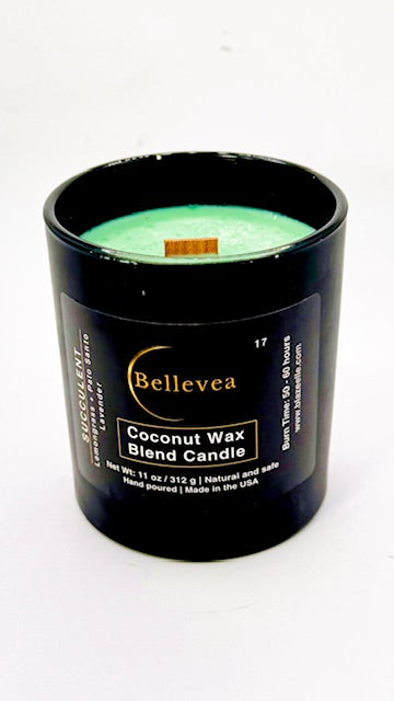 11oz Bellevea Succulent Candle, the scents of lavender, lemongrass, sage, orange, patchouli and vanilla
